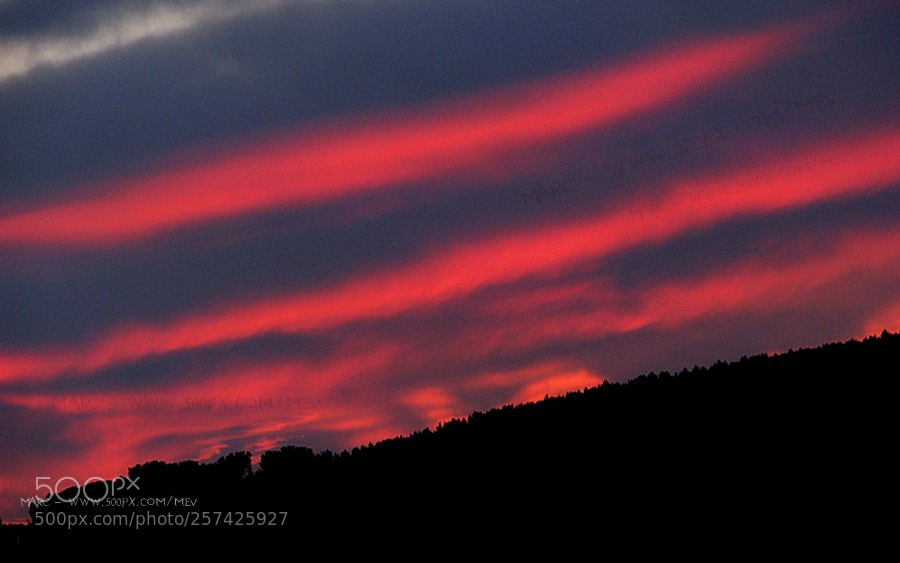 Canon POWERSHOT S5 IS sample photo. Stripped sunset photography