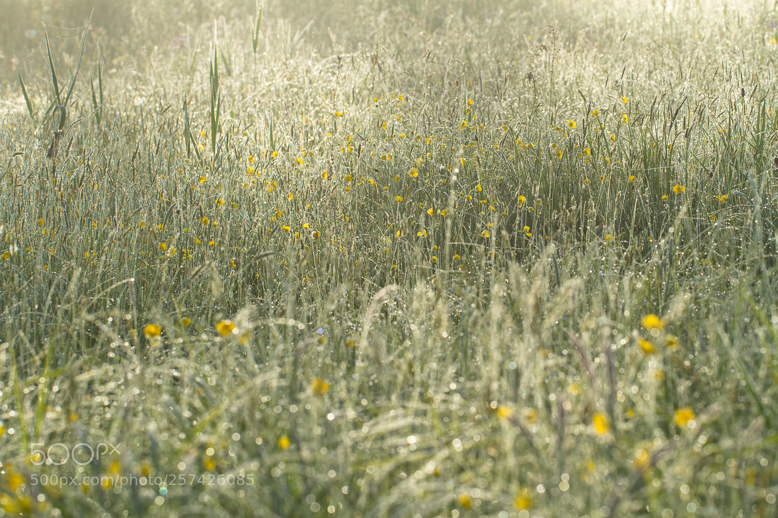 Canon EOS 7D sample photo. Lichtspel photography