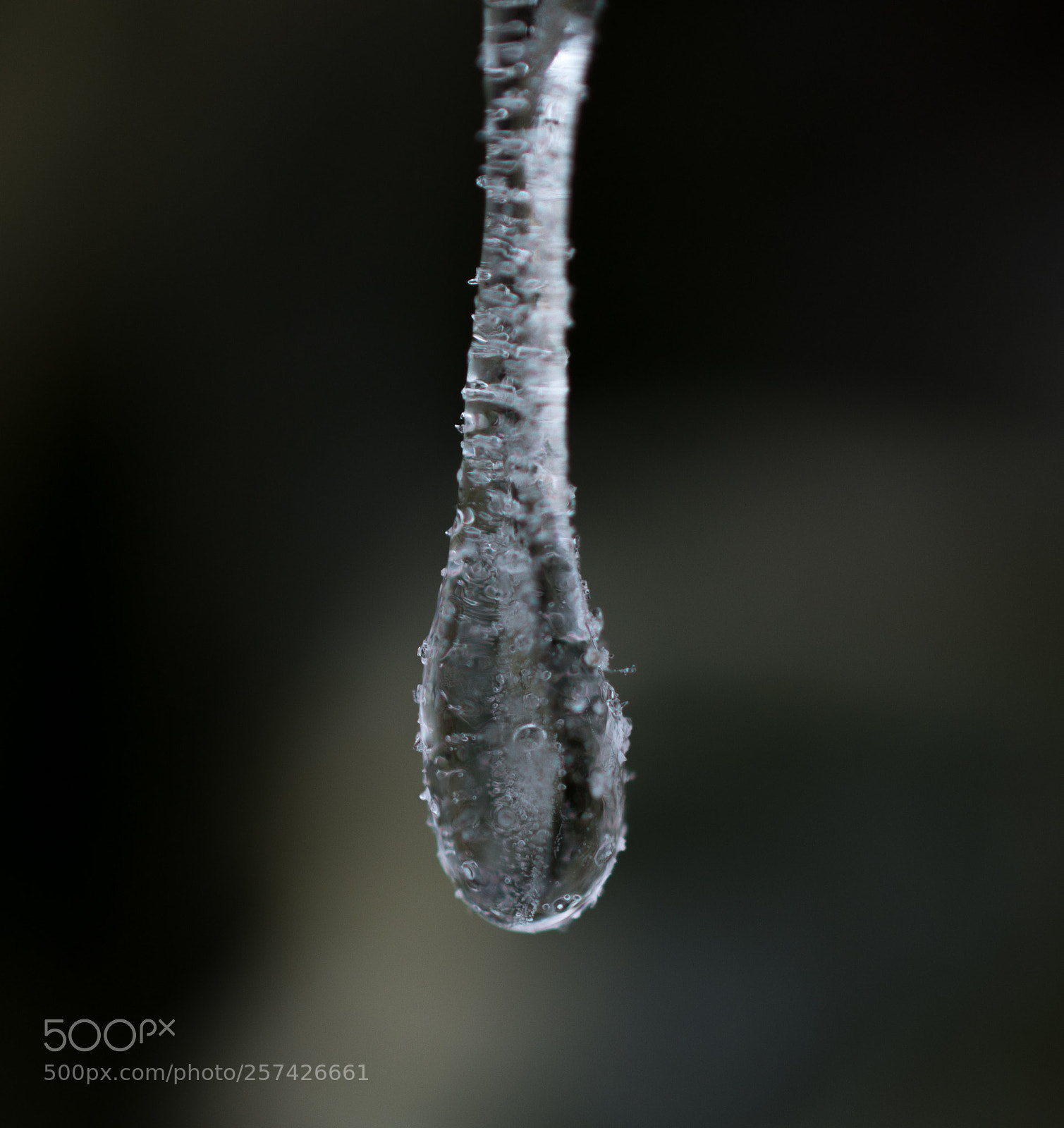 Nikon D7200 sample photo. Drip photography