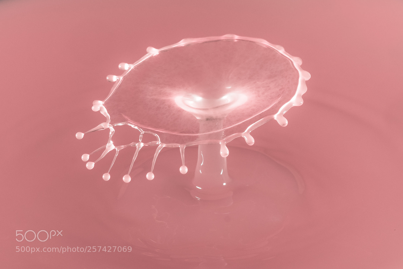 Fujifilm X-E1 sample photo. Water jewels photography