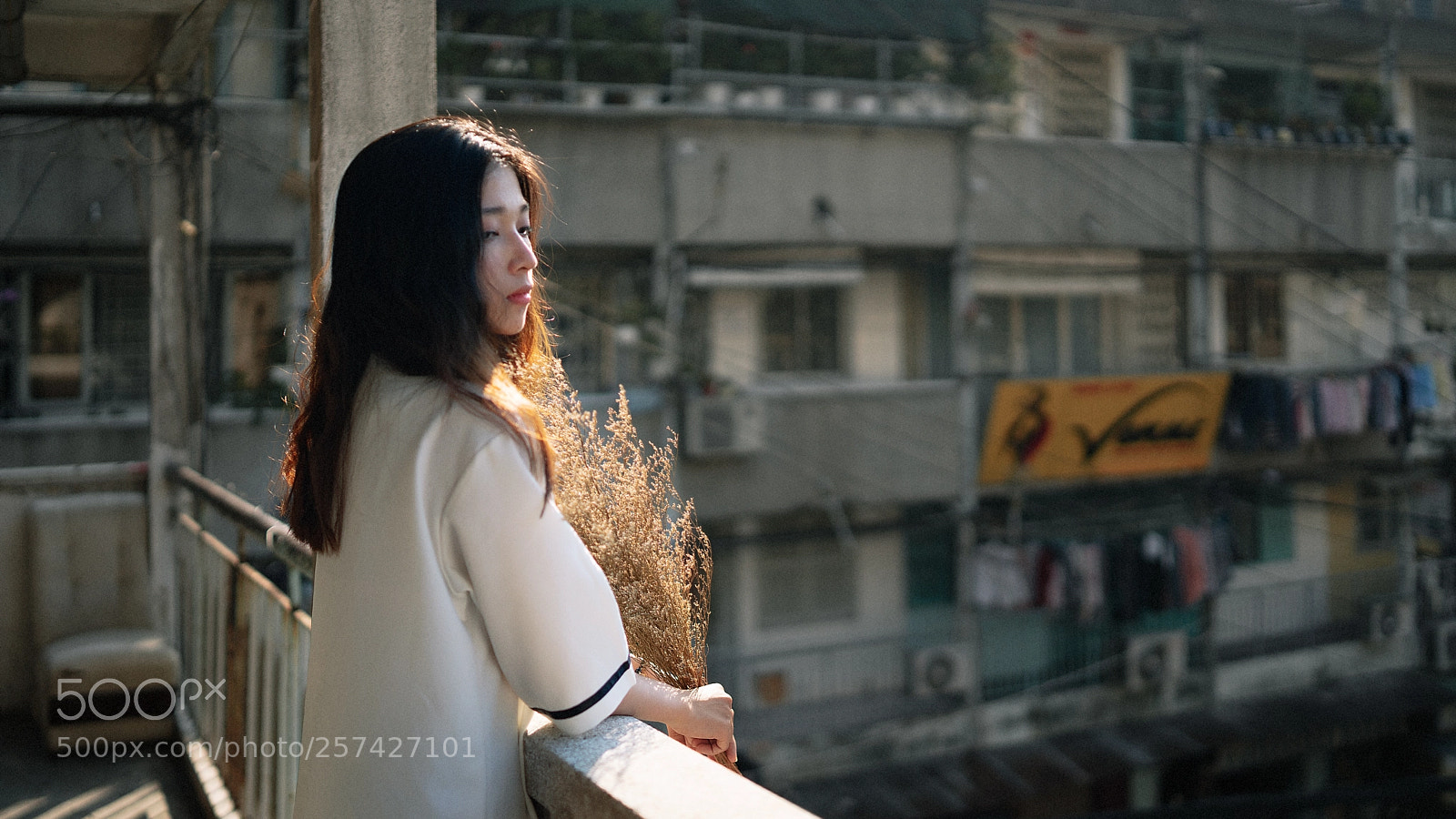 Sony a7 II sample photo. Dsc photography