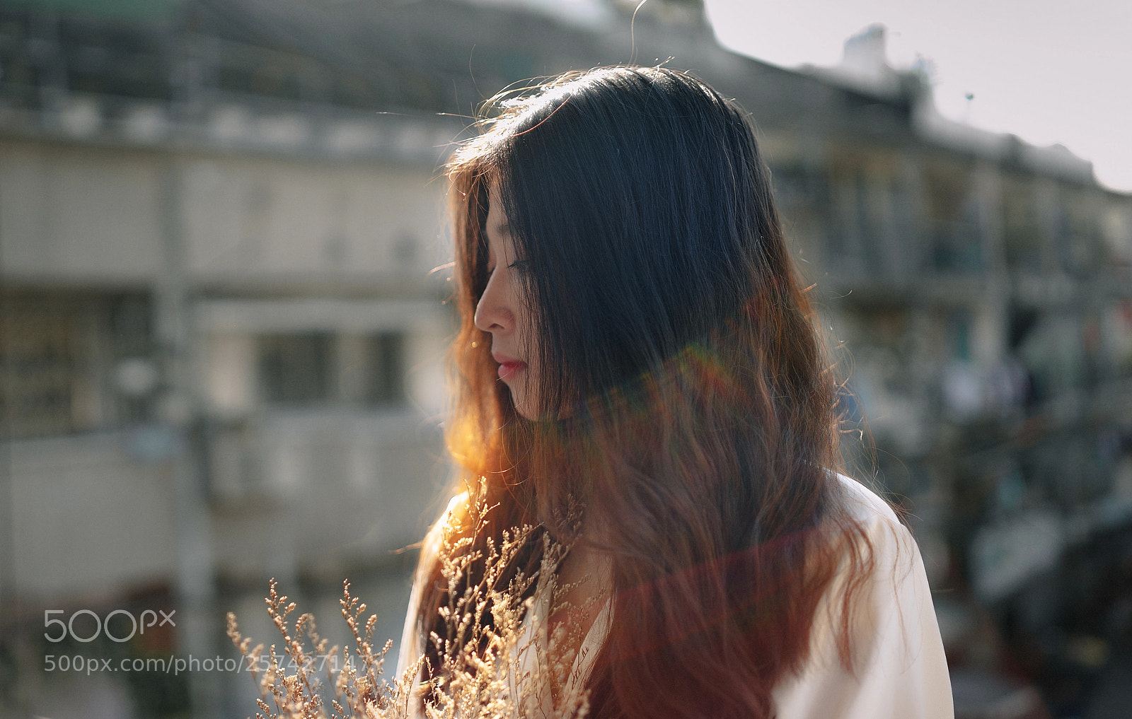 Sony a7 II sample photo. Dsc photography