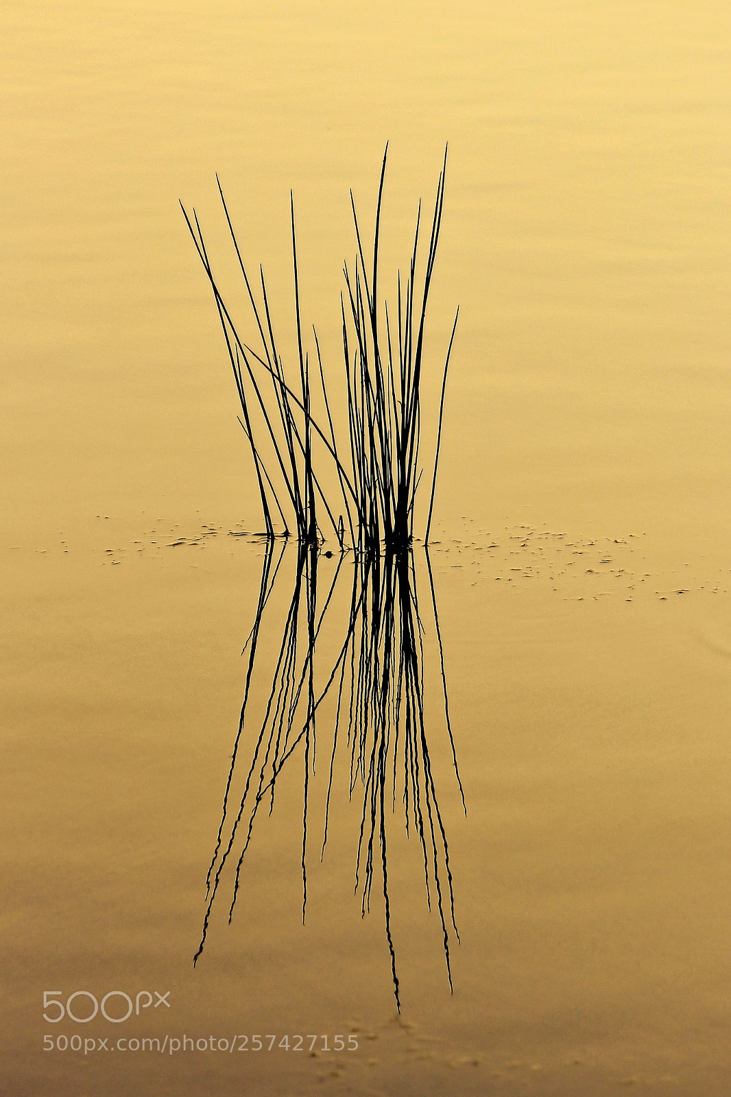 Canon EOS 700D (EOS Rebel T5i / EOS Kiss X7i) sample photo. Salt flats photography