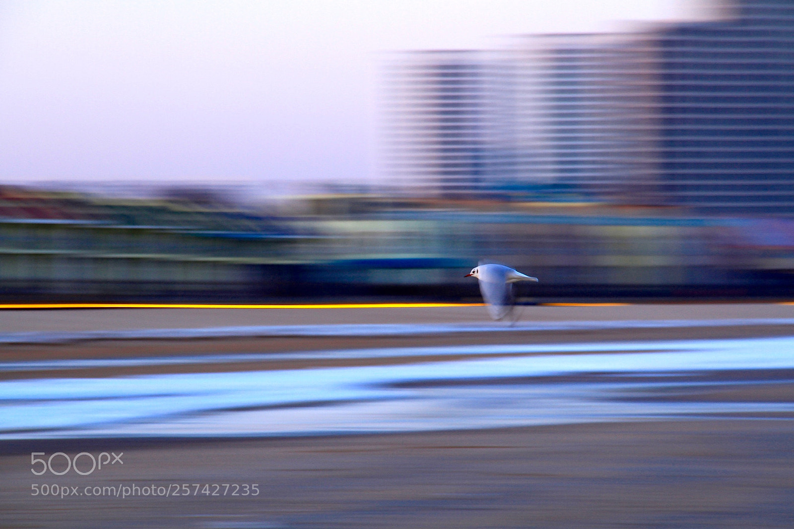 Canon EOS 7D sample photo. Untitled photography