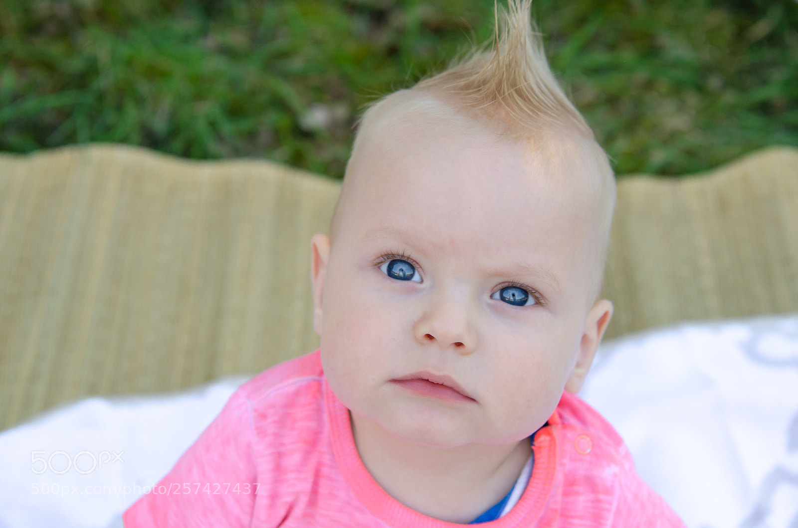 Nikon D7000 sample photo. Blue eyes photography