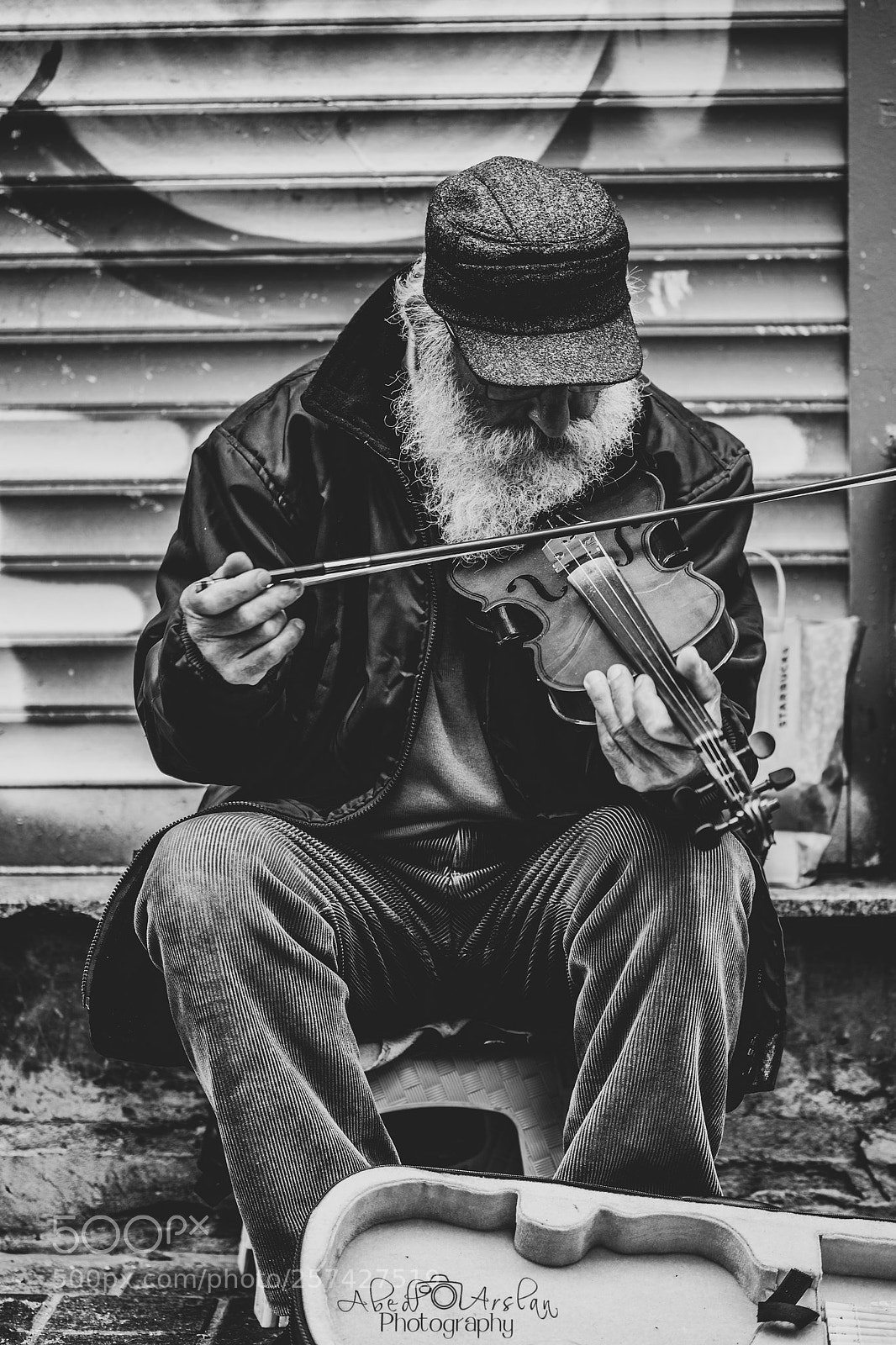 Canon EOS 5D Mark IV sample photo. The violinist photography