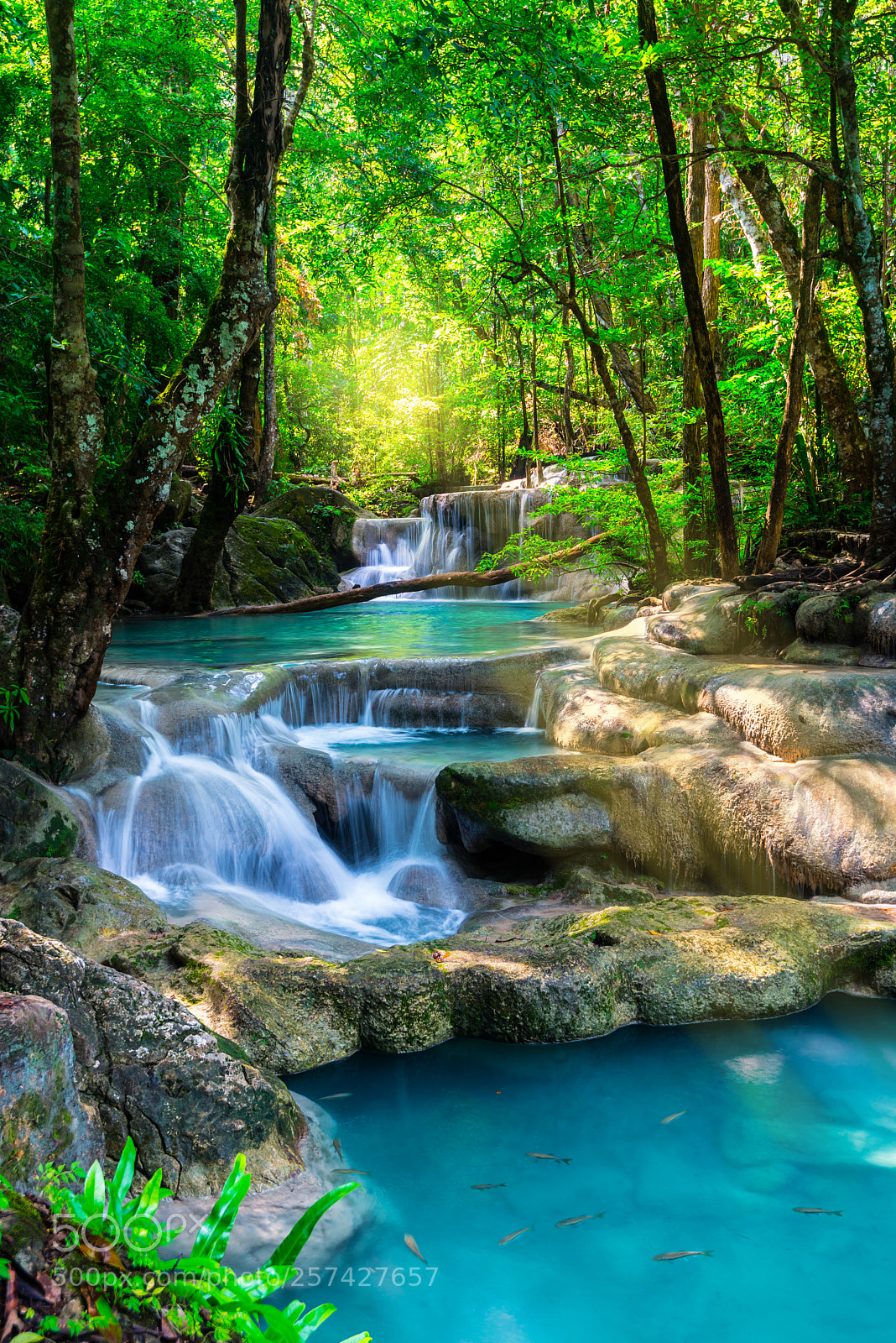 Nikon D610 sample photo. Beautiful waterfall in thailand photography