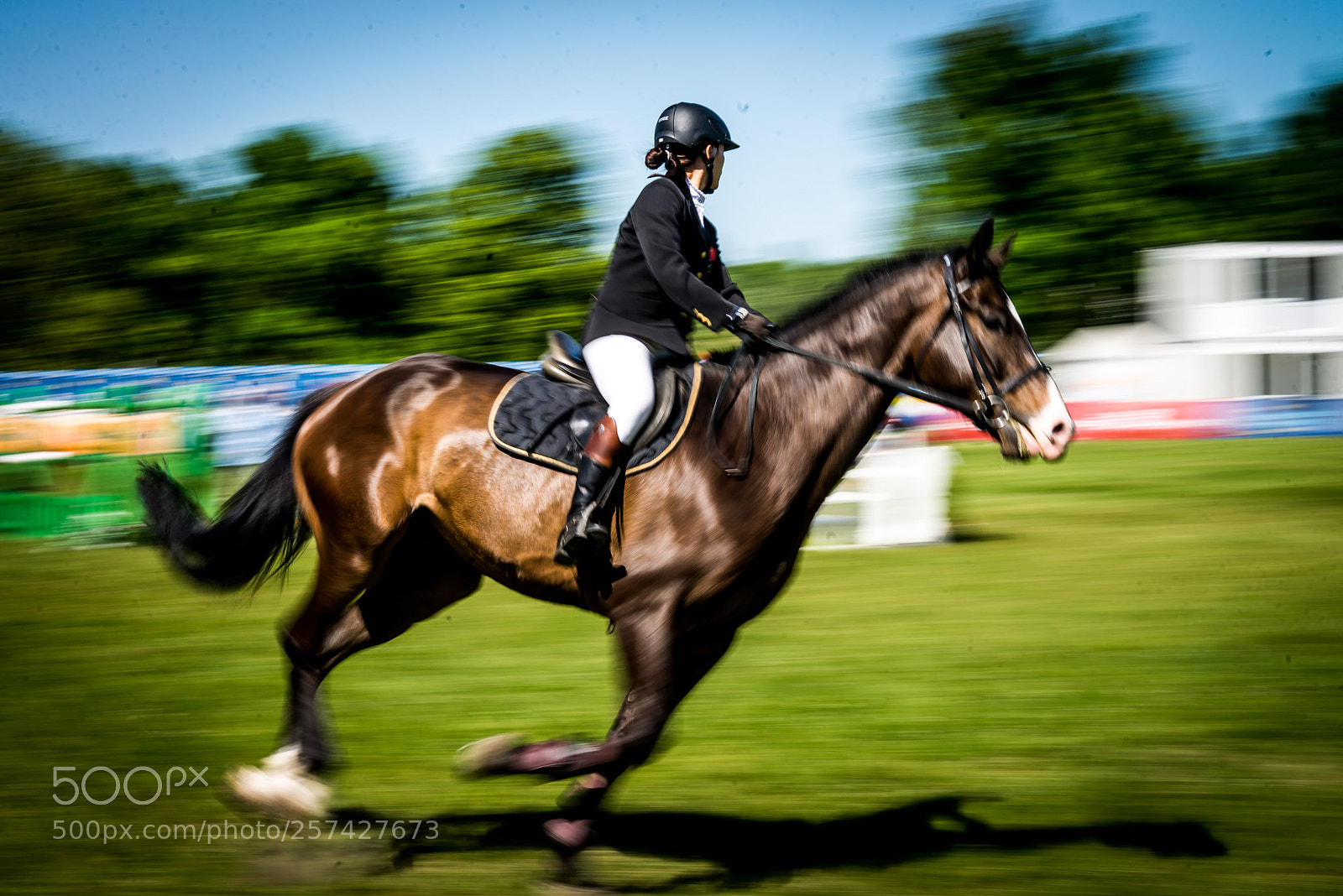 Nikon D600 sample photo. Riding photography