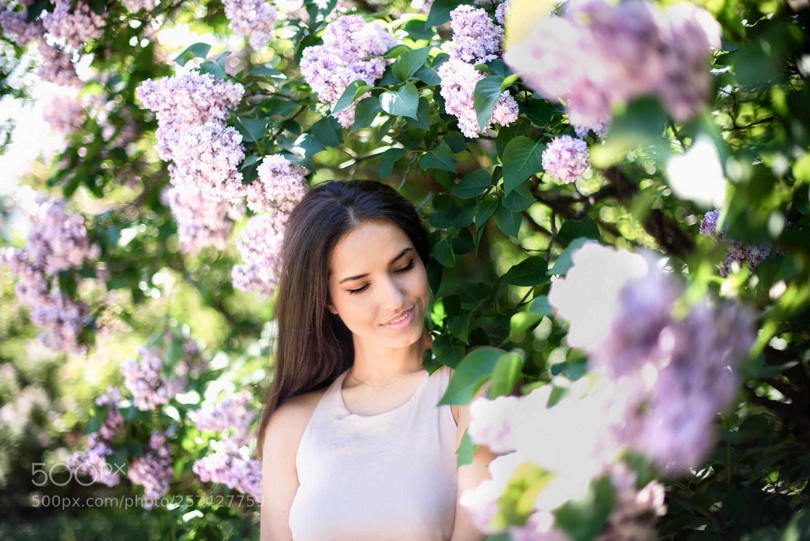 Nikon D750 sample photo. Lilac around photography
