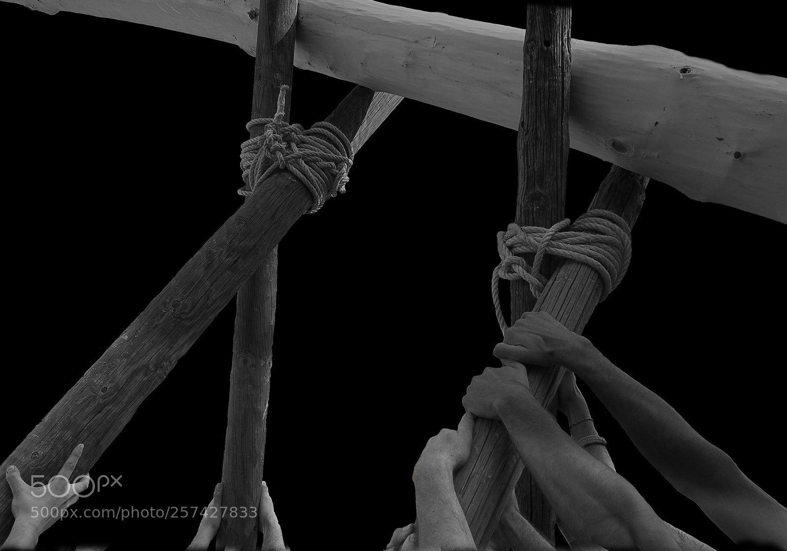 Nikon D700 sample photo. 01-2.jpg photography
