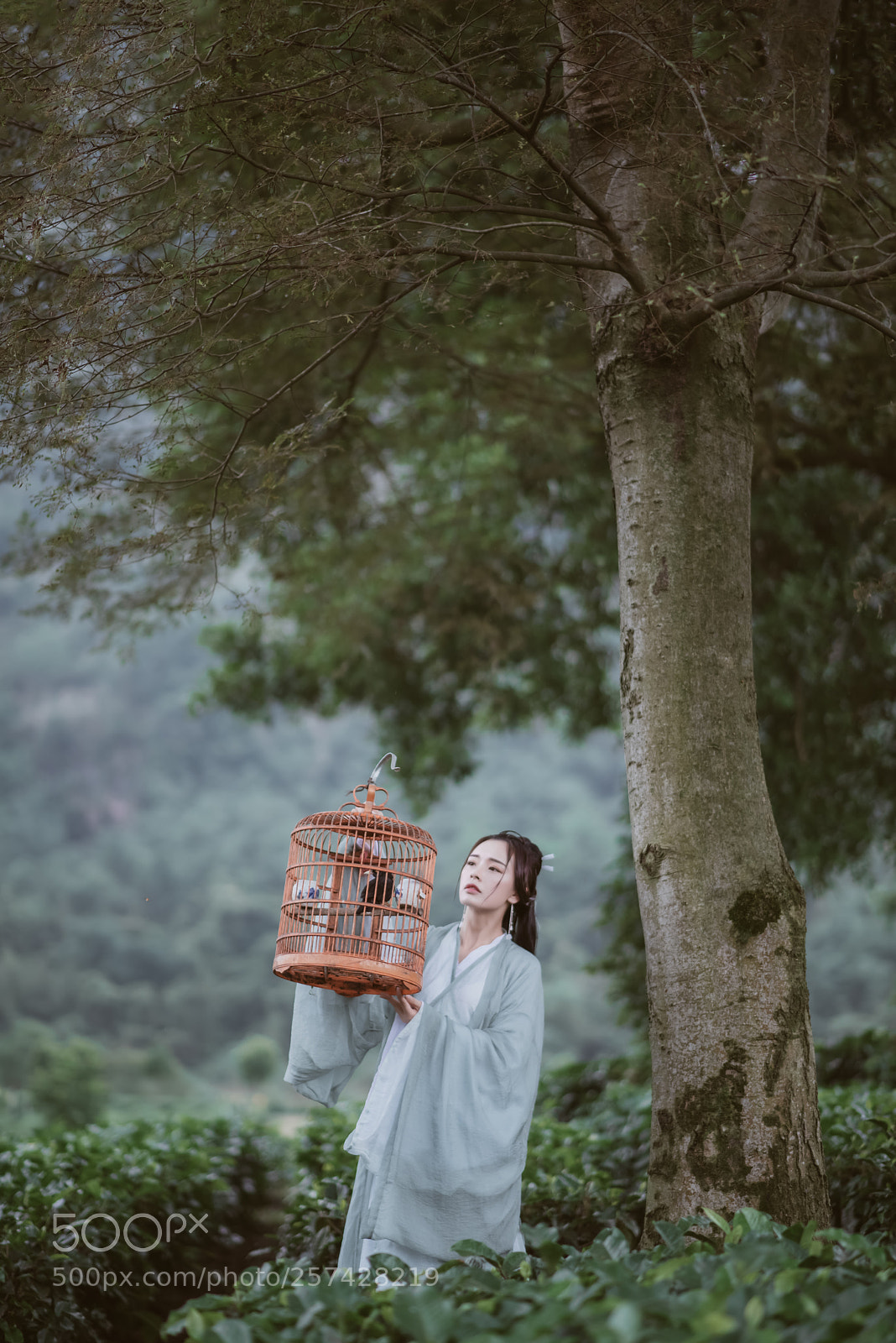 Nikon D810 sample photo. Untitled photography