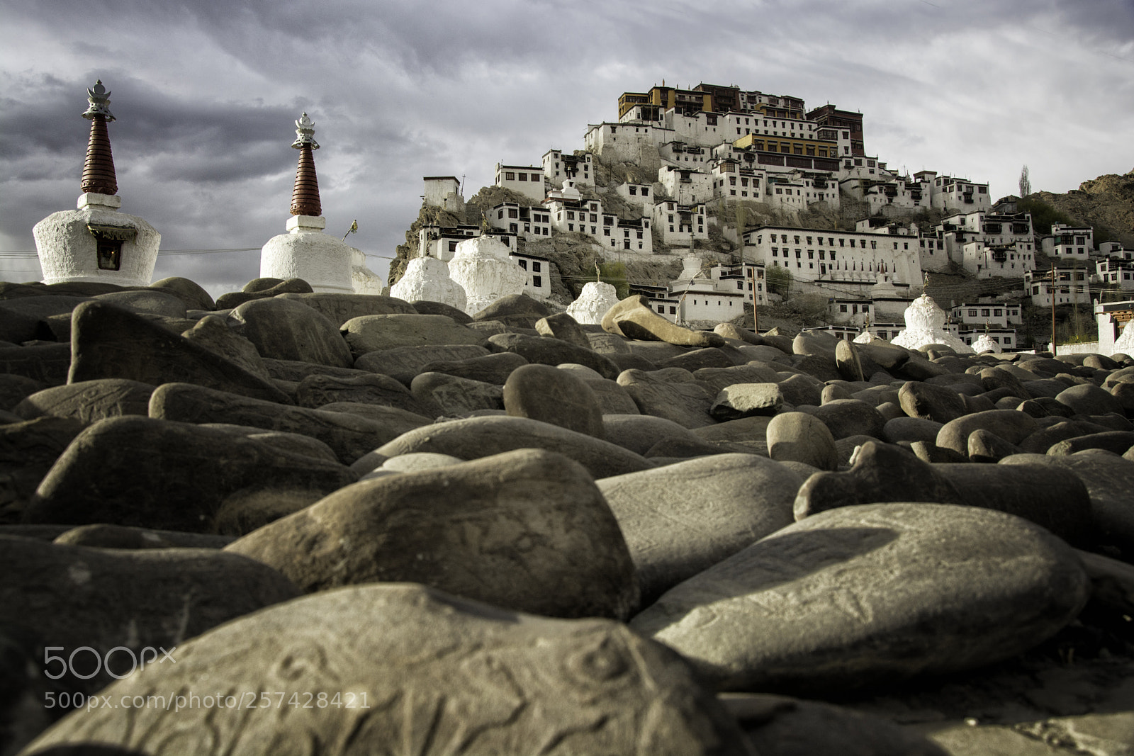 Nikon D7100 sample photo. Thiksey gompa buddhist tibetan photography