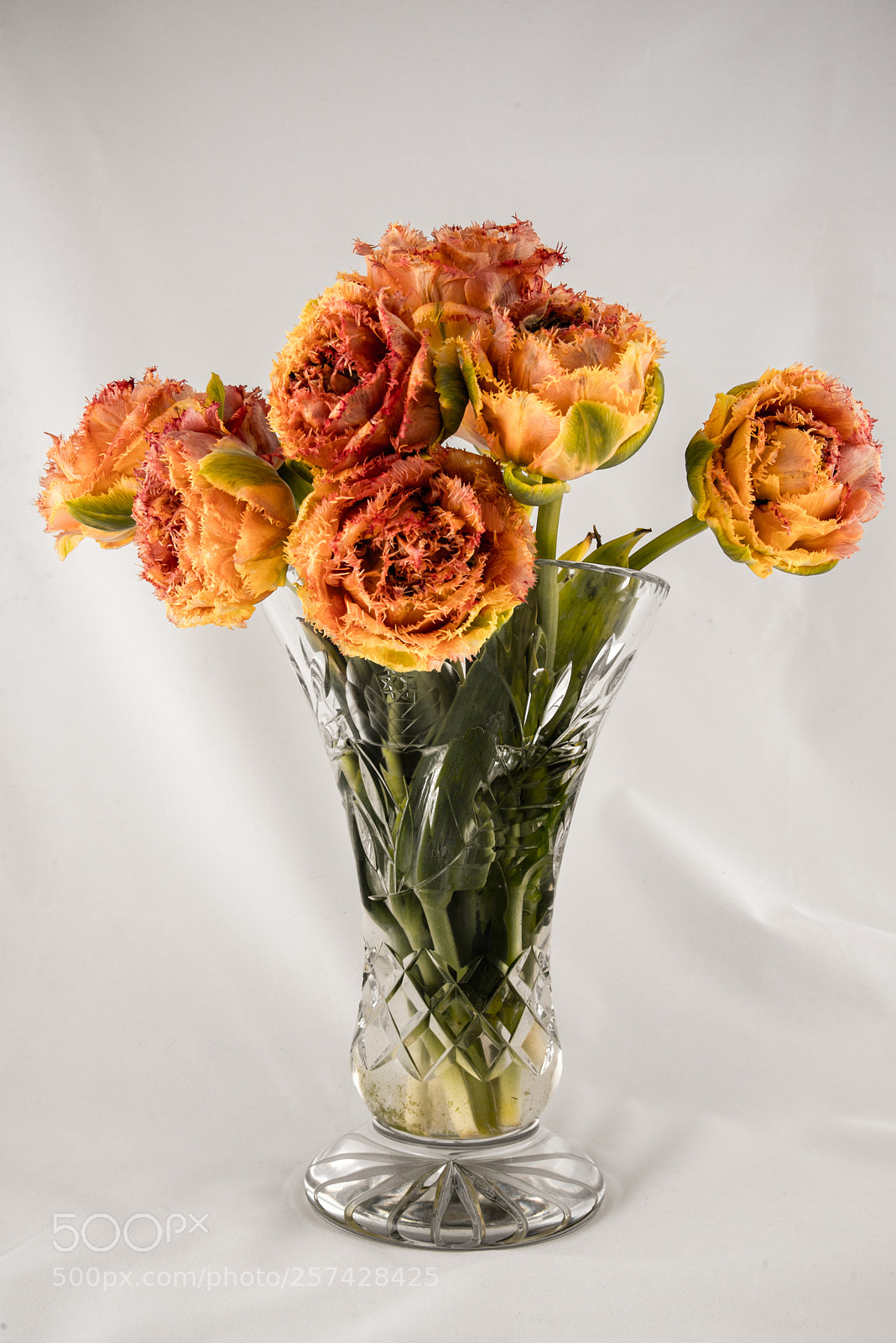 Nikon D750 sample photo. Flowers photography