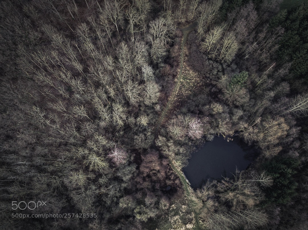 DJI FC220 sample photo. The bird‘s perspective photography