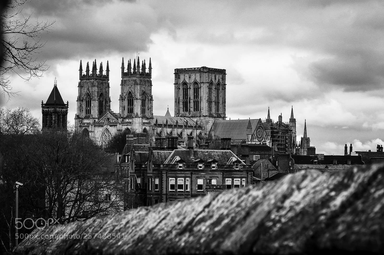 Nikon D5600 sample photo. York minster photography