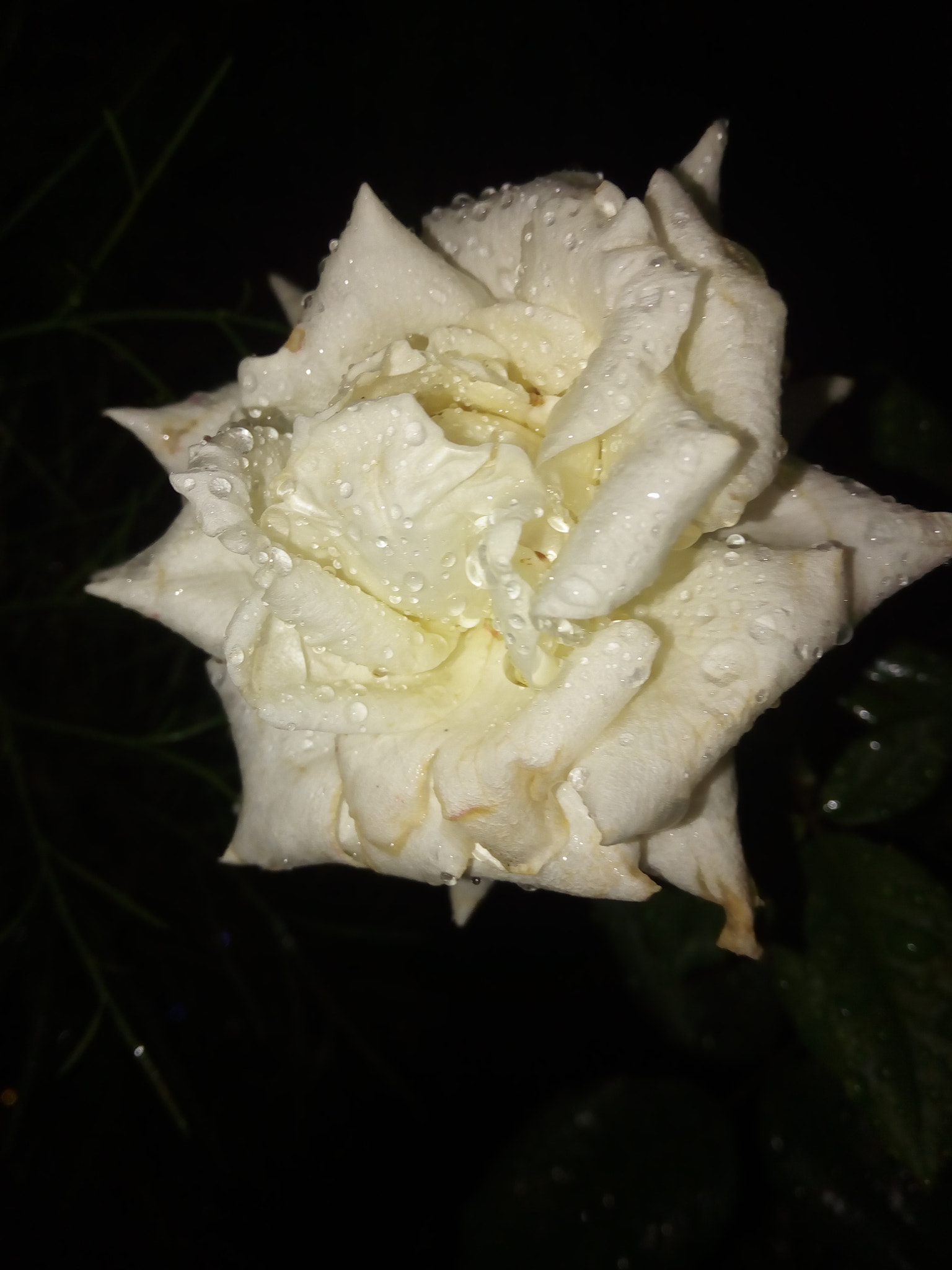 Lenovo VIBE X3 LITE sample photo. ������������������������������� photography