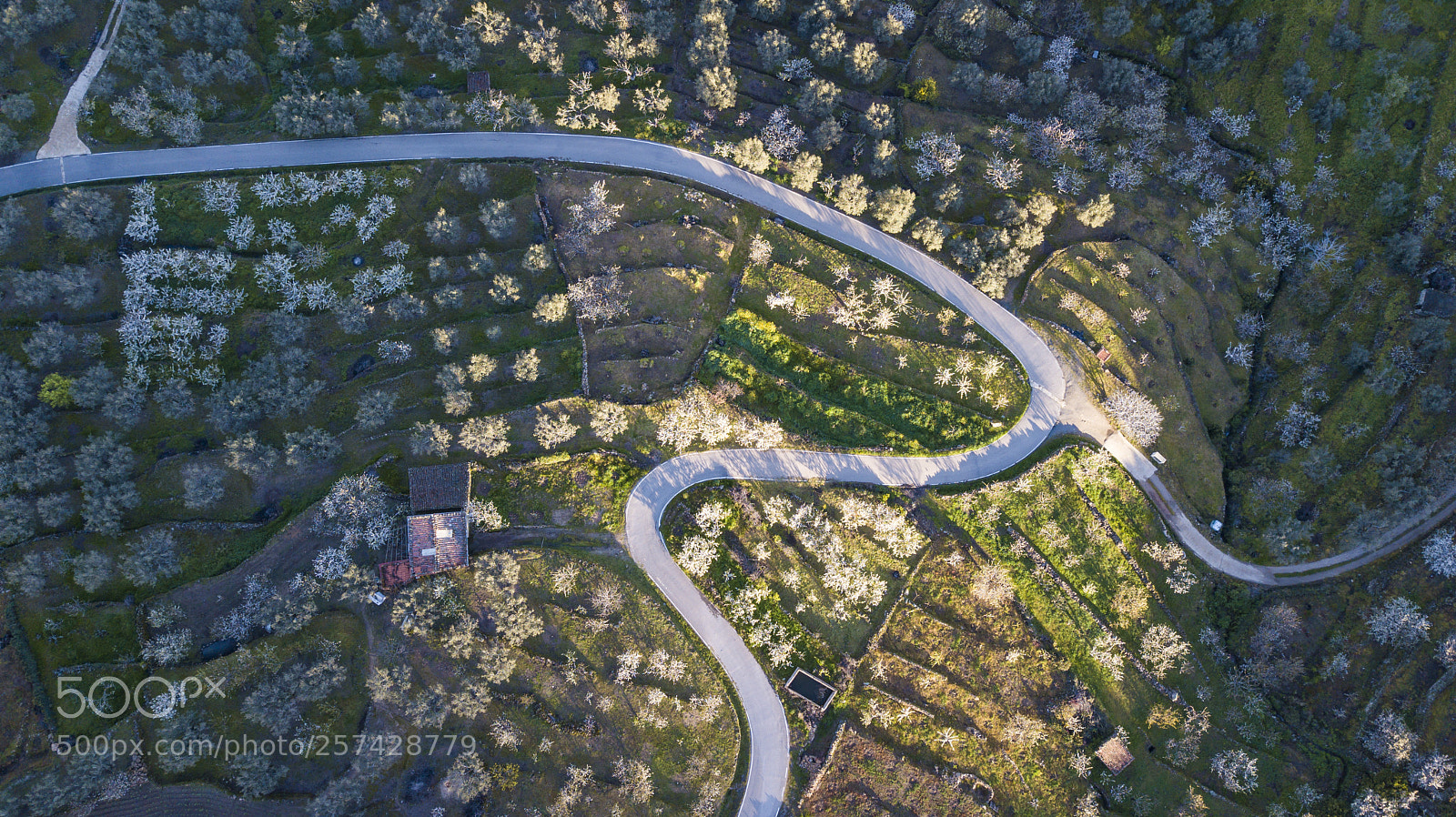 DJI FC220 sample photo. Aerial view of the photography