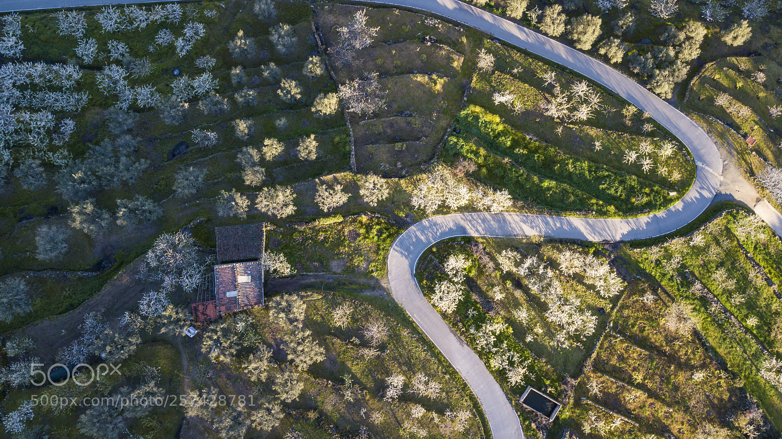 DJI FC220 sample photo. Aerial view of the photography