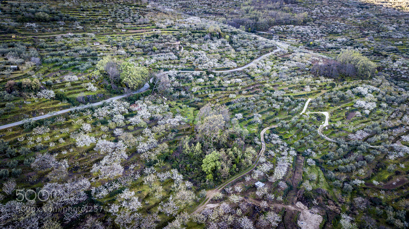 DJI FC220 sample photo. Aerial view of the photography