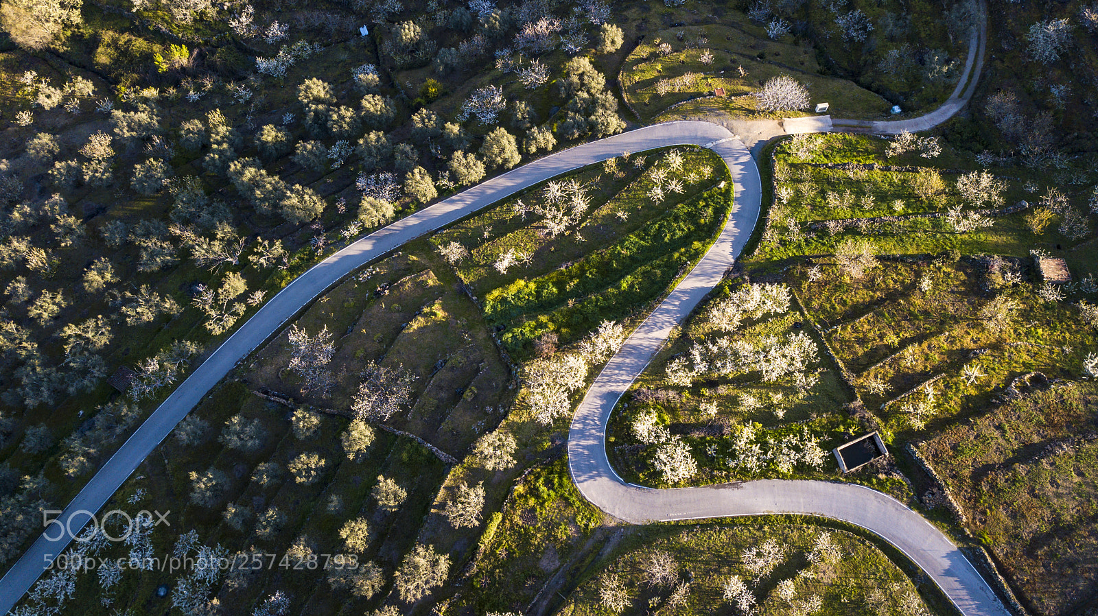 DJI FC220 sample photo. Aerial view of the photography