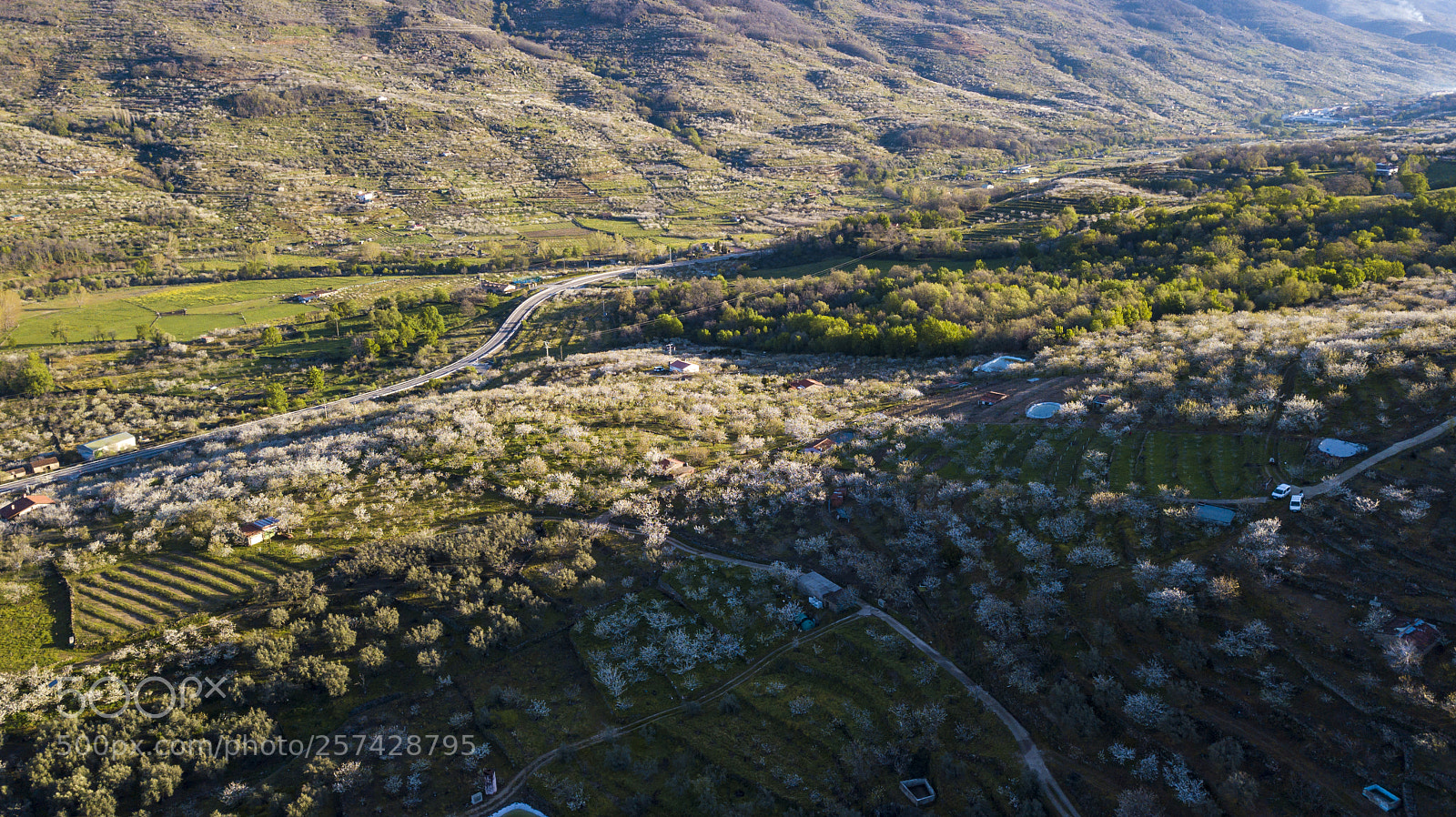 DJI FC220 sample photo. Aerial view of the photography