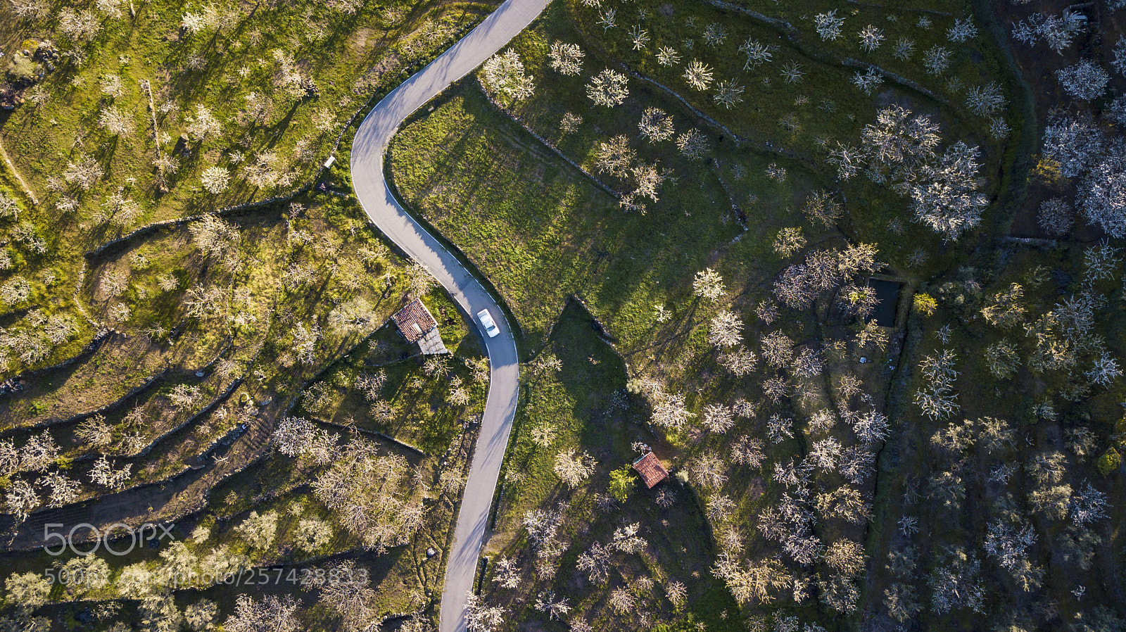 DJI FC220 sample photo. Aerial view of the photography