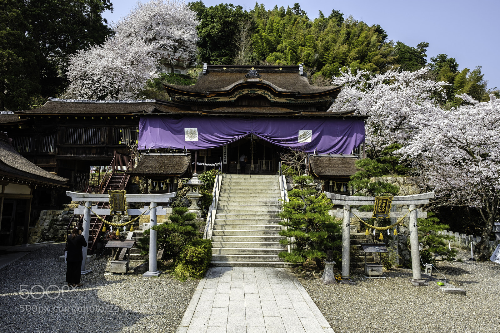 Fujifilm X-T2 sample photo. Japan-竹生島 都久夫須麻神社 photography