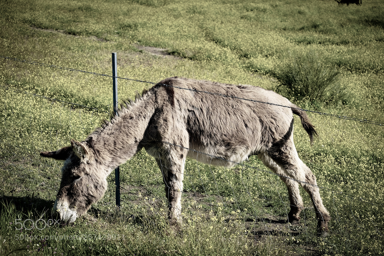 Fujifilm X-T10 sample photo. Rural fields in spain photography
