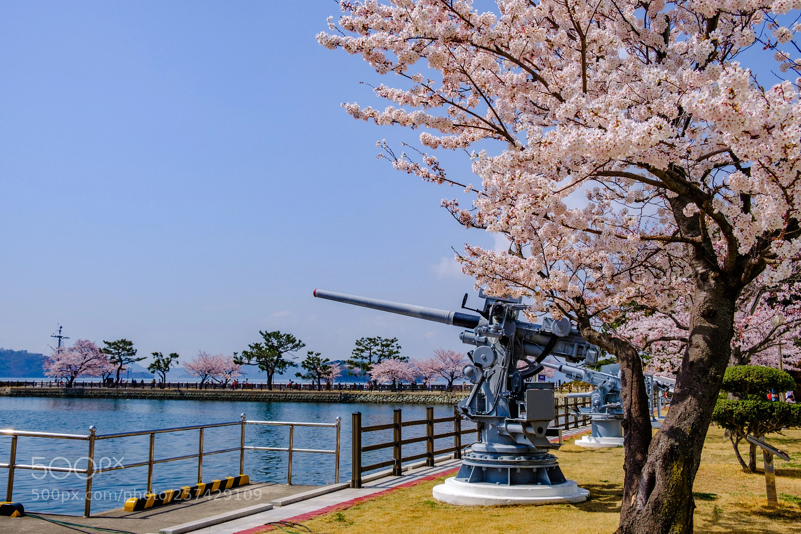 Fujifilm X-T20 sample photo. Cherry blossom in naval photography