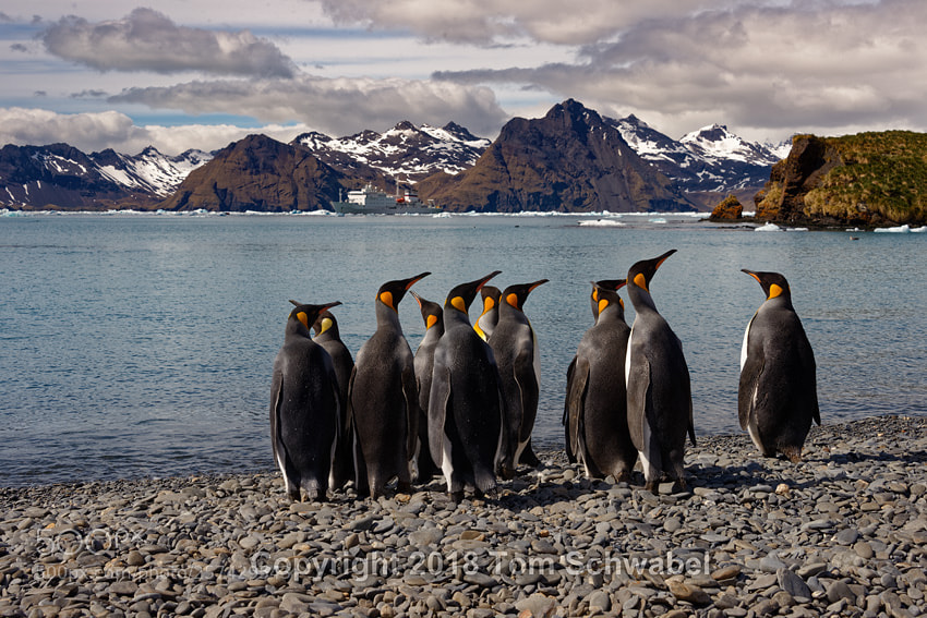 Nikon D800 sample photo. The castaways photography