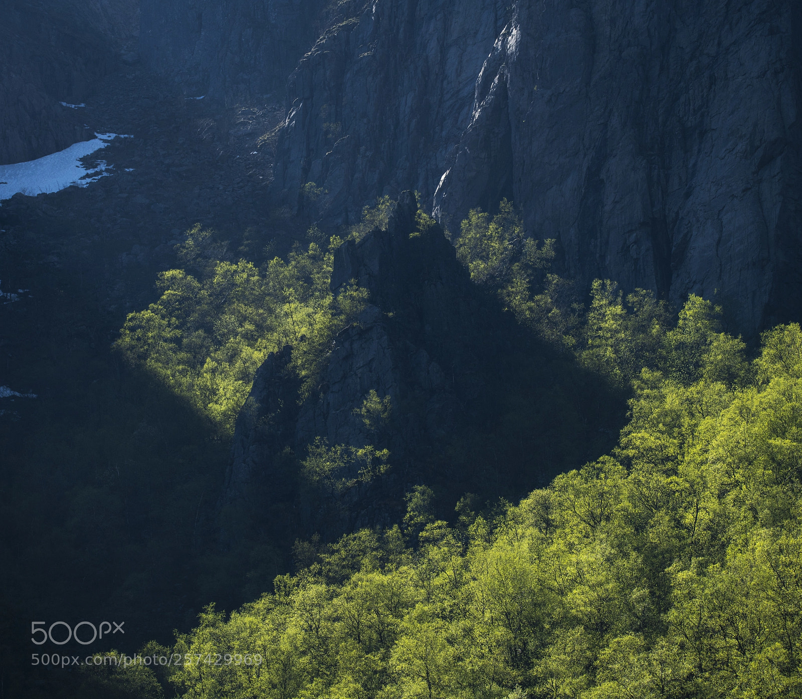 Nikon D850 sample photo. Spring in the mountais photography