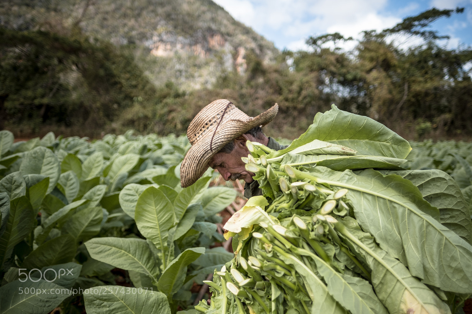 Fujifilm X-Pro2 sample photo. Viñales photography