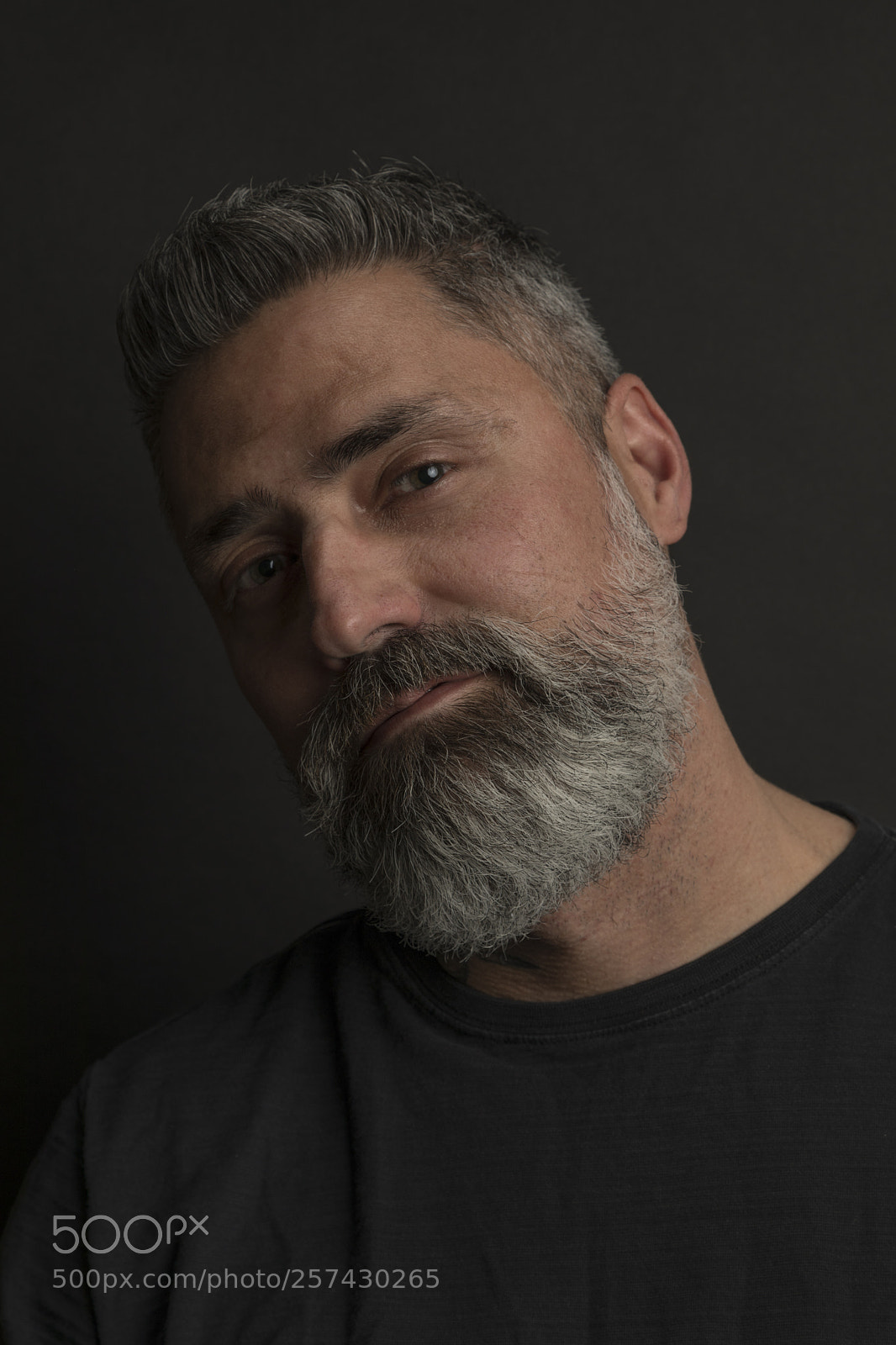 Canon EOS 5D Mark IV sample photo. Phil photography