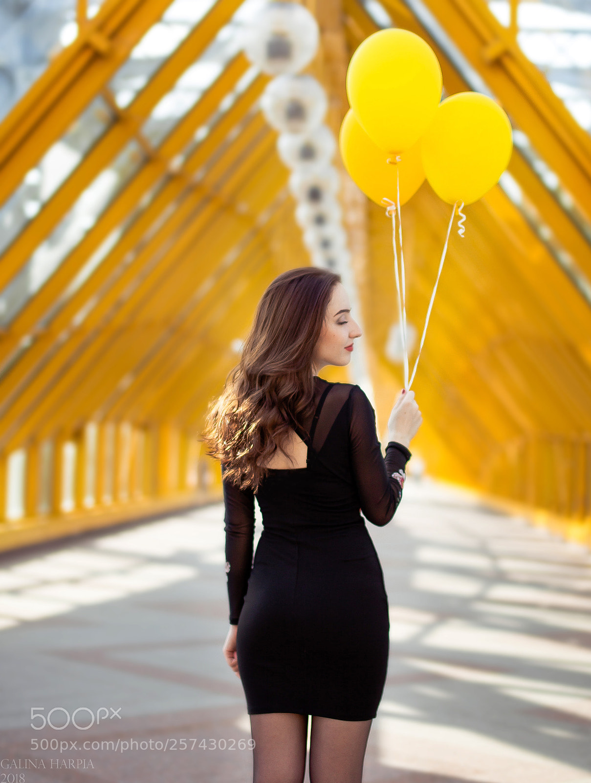 Canon EOS 5D Mark II sample photo. Luftbaloons photography