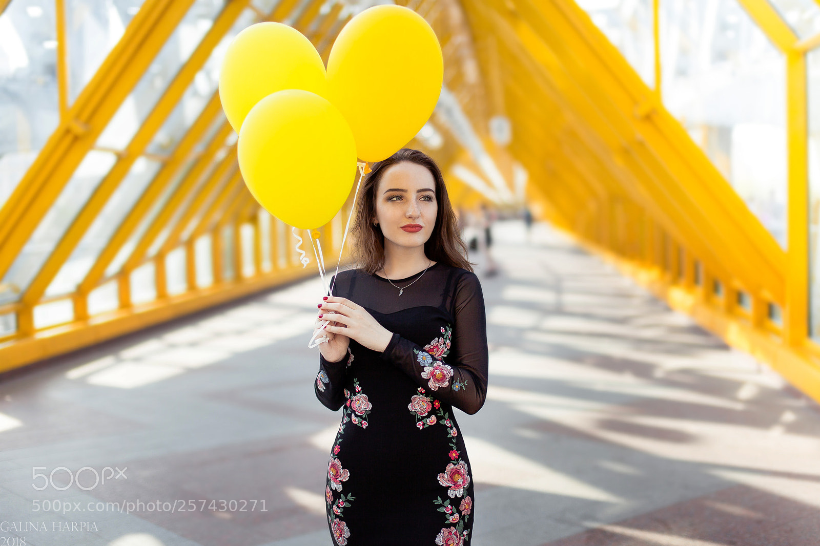Canon EOS 5D Mark II sample photo. Luftbaloons photography