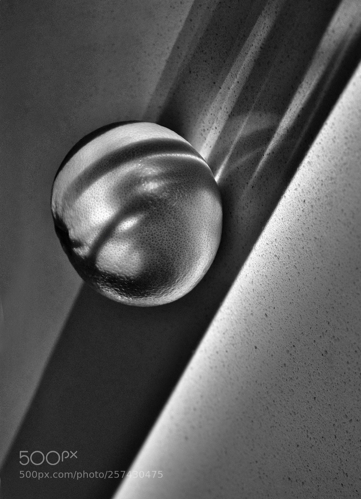 Fujifilm X-T2 sample photo. Untitled photography