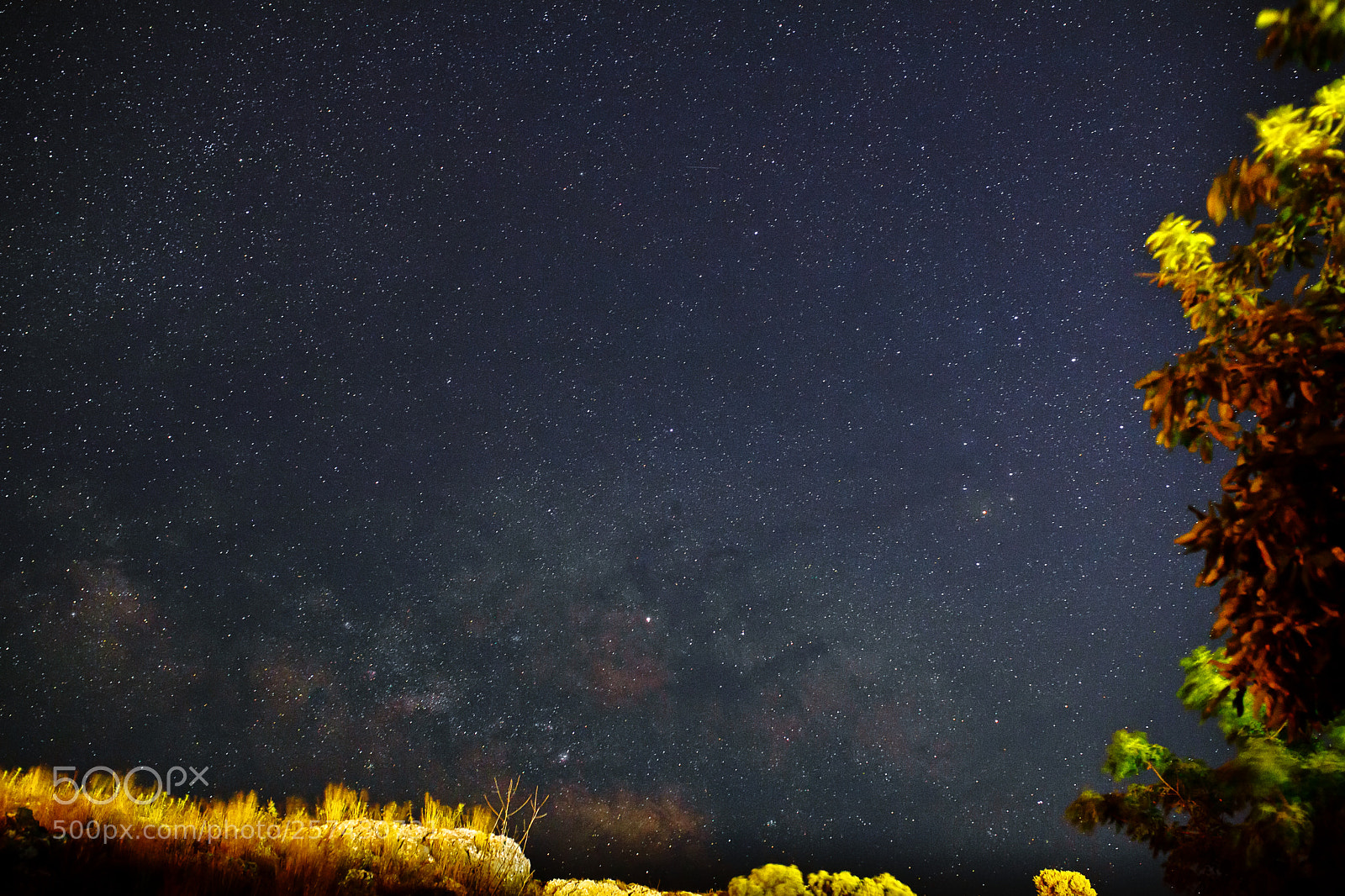 Canon EOS 5D Mark II sample photo. Stars photography
