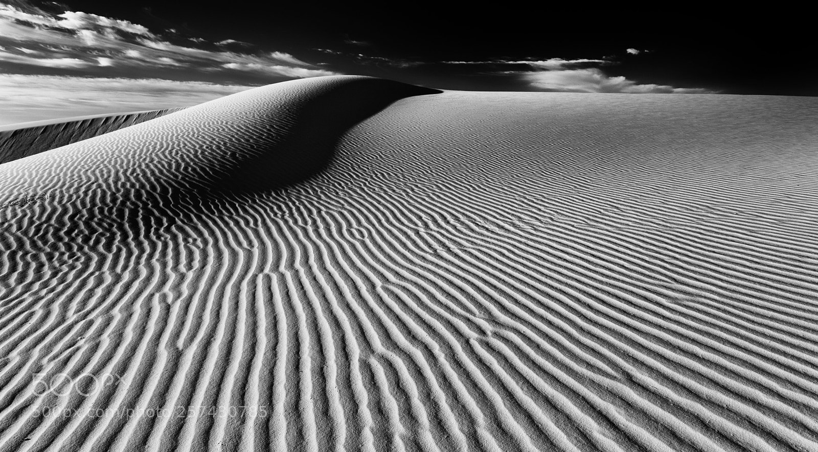 Canon EOS 5D Mark II sample photo. Dune world photography