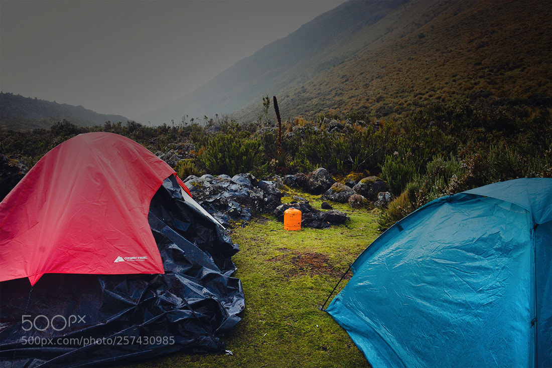 Nikon D7100 sample photo. Camping photography