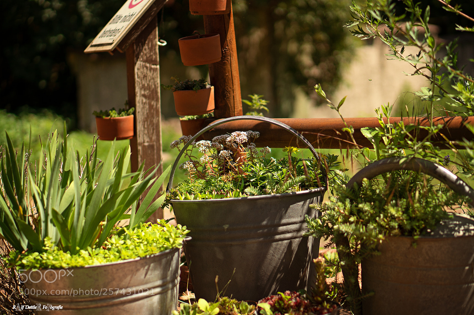 Sony a7 II sample photo. Flower arrangement photography