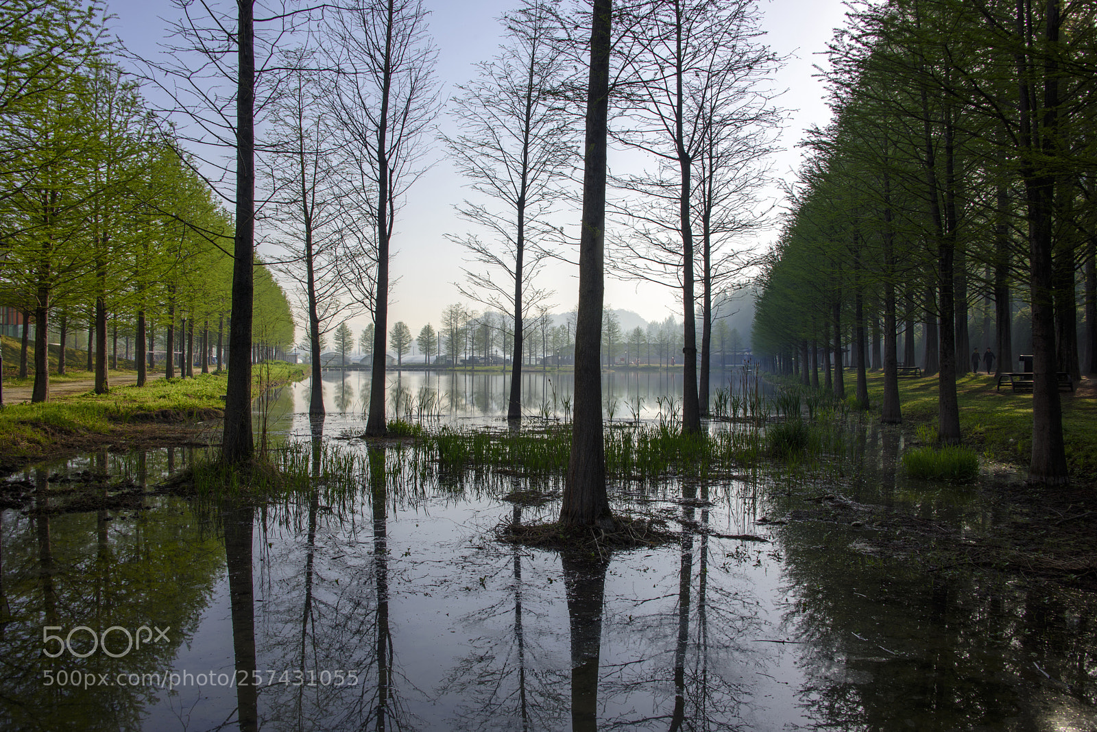 Nikon D810 sample photo. Reflection 3 photography