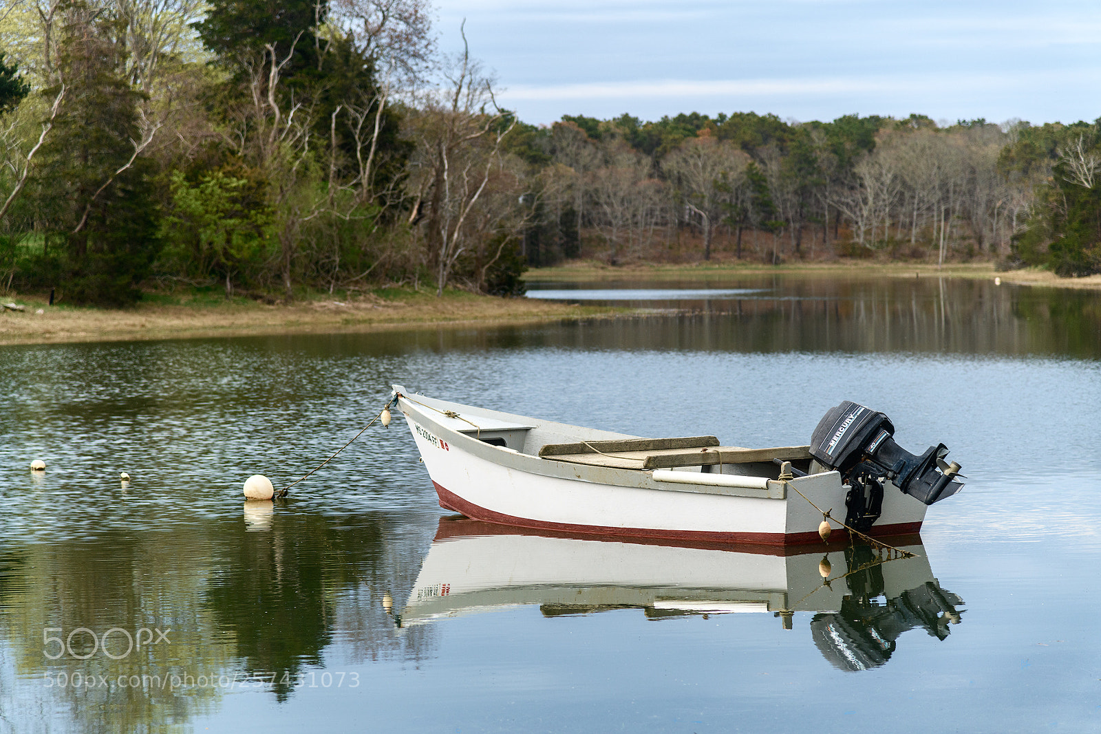 Nikon D850 sample photo. Morning reflections photography