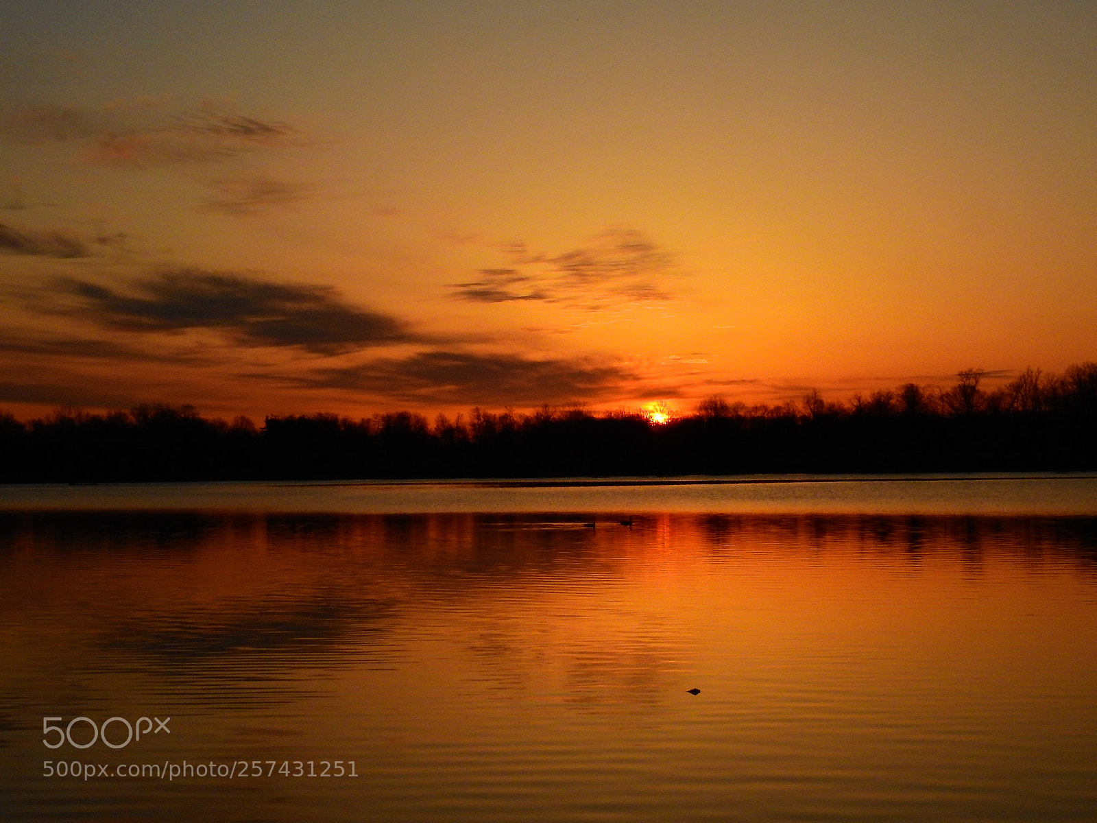 Nikon Coolpix P900 sample photo. Cedarville reservoir sunrise photography