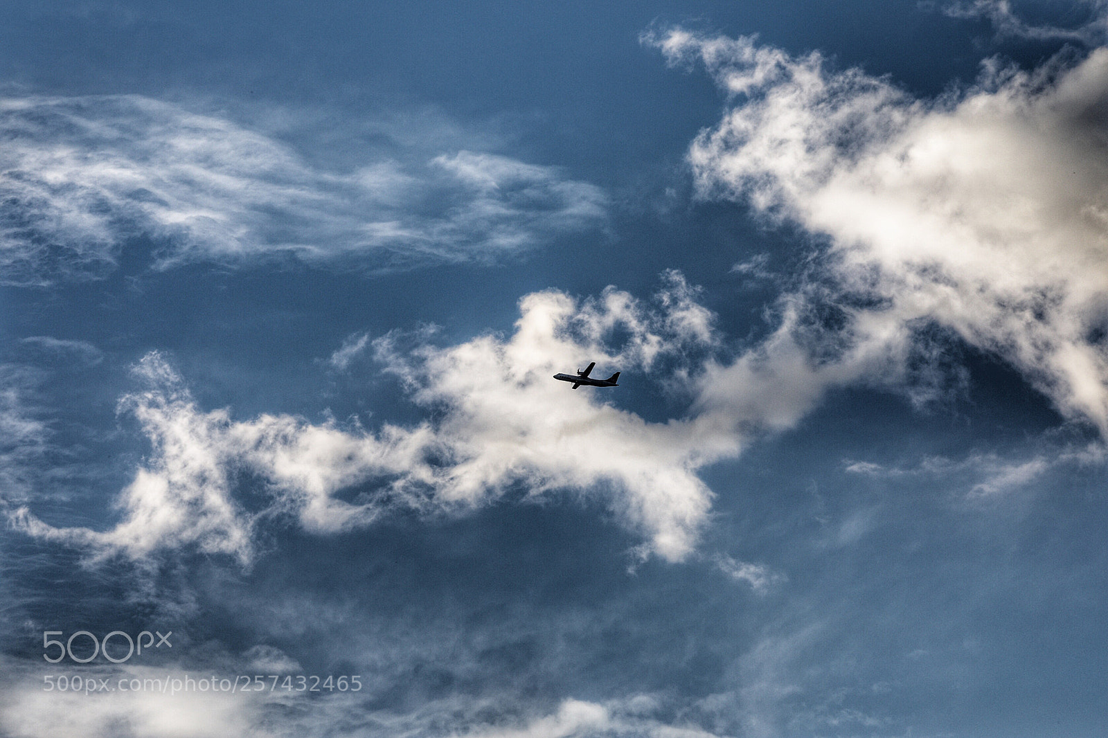 Canon EOS 5D Mark IV sample photo. Untitled photography