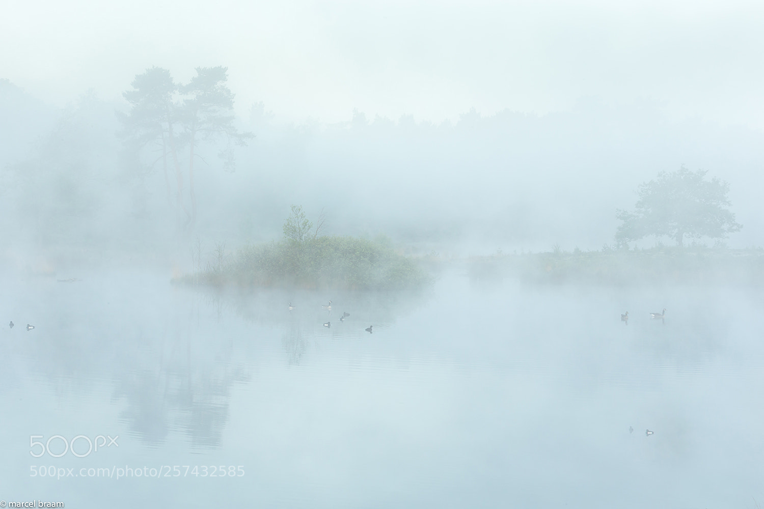 Canon EOS-1D X sample photo. The fog photography