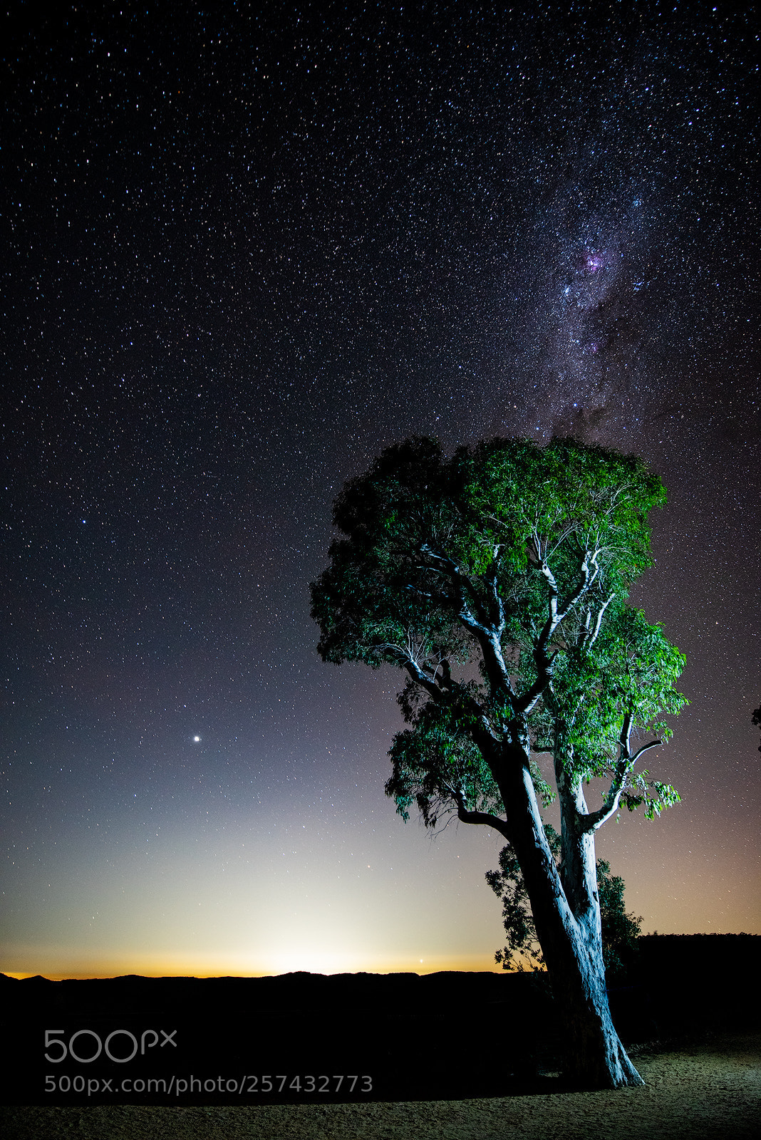 Nikon D750 sample photo. Rising jupiter photography
