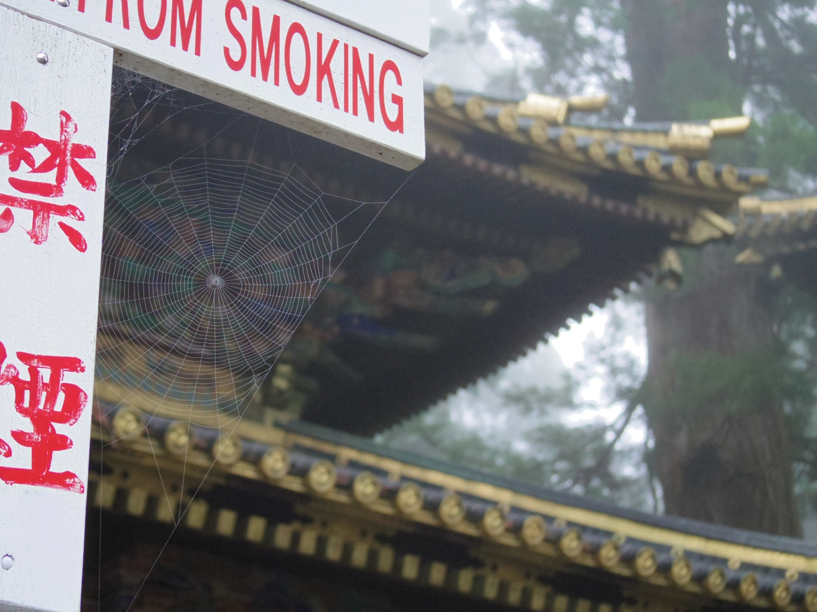 Pentax Q7 sample photo. Spider web in the temple photography