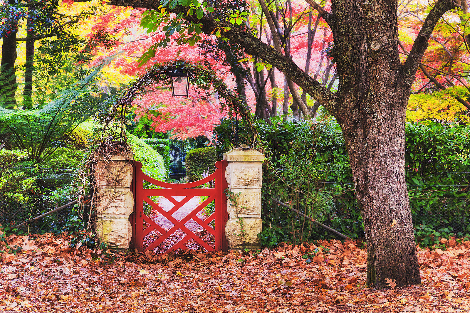 Canon EOS 6D sample photo. Red gate photography