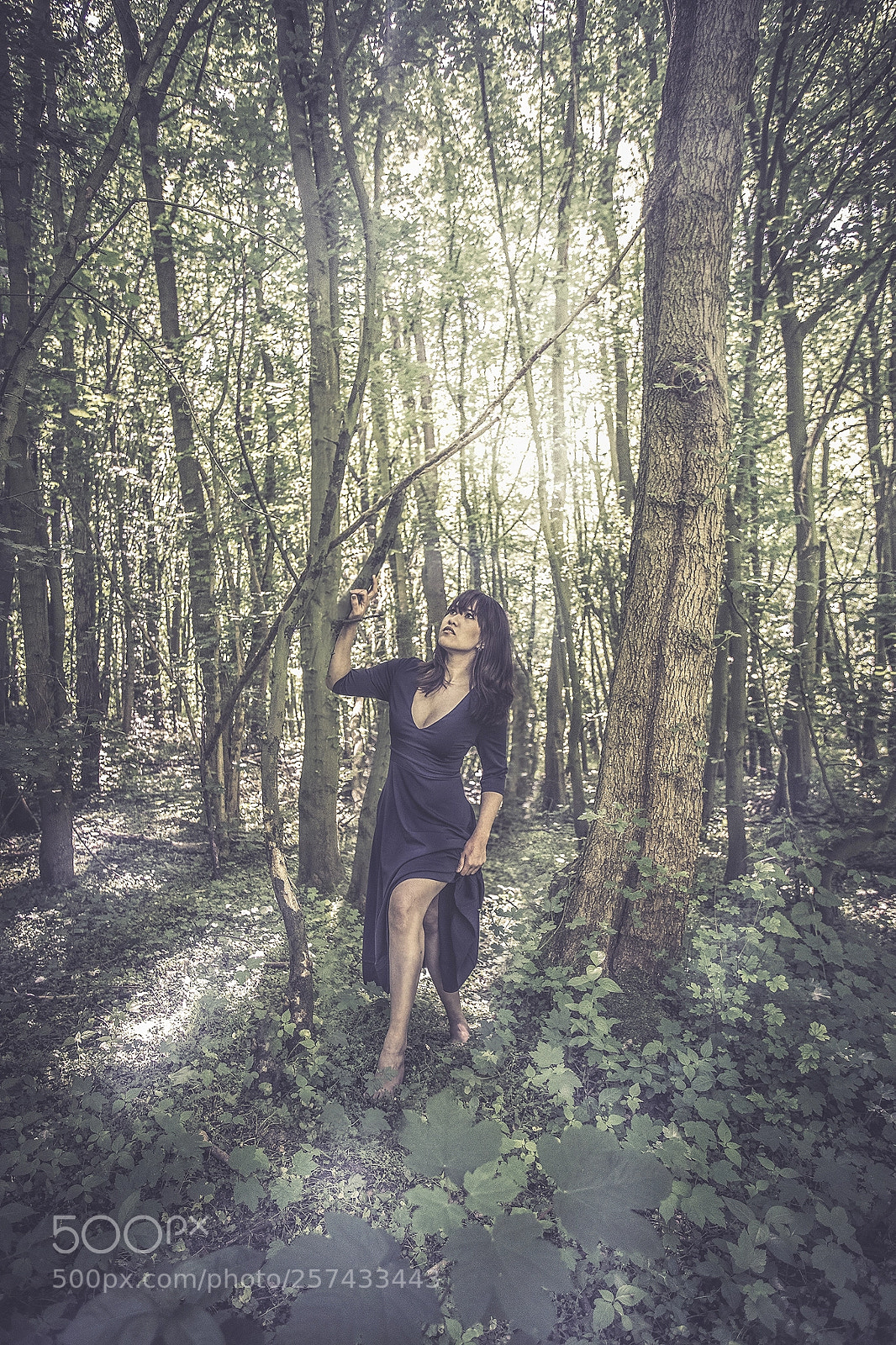 Canon EOS 6D sample photo. Into the woods photography
