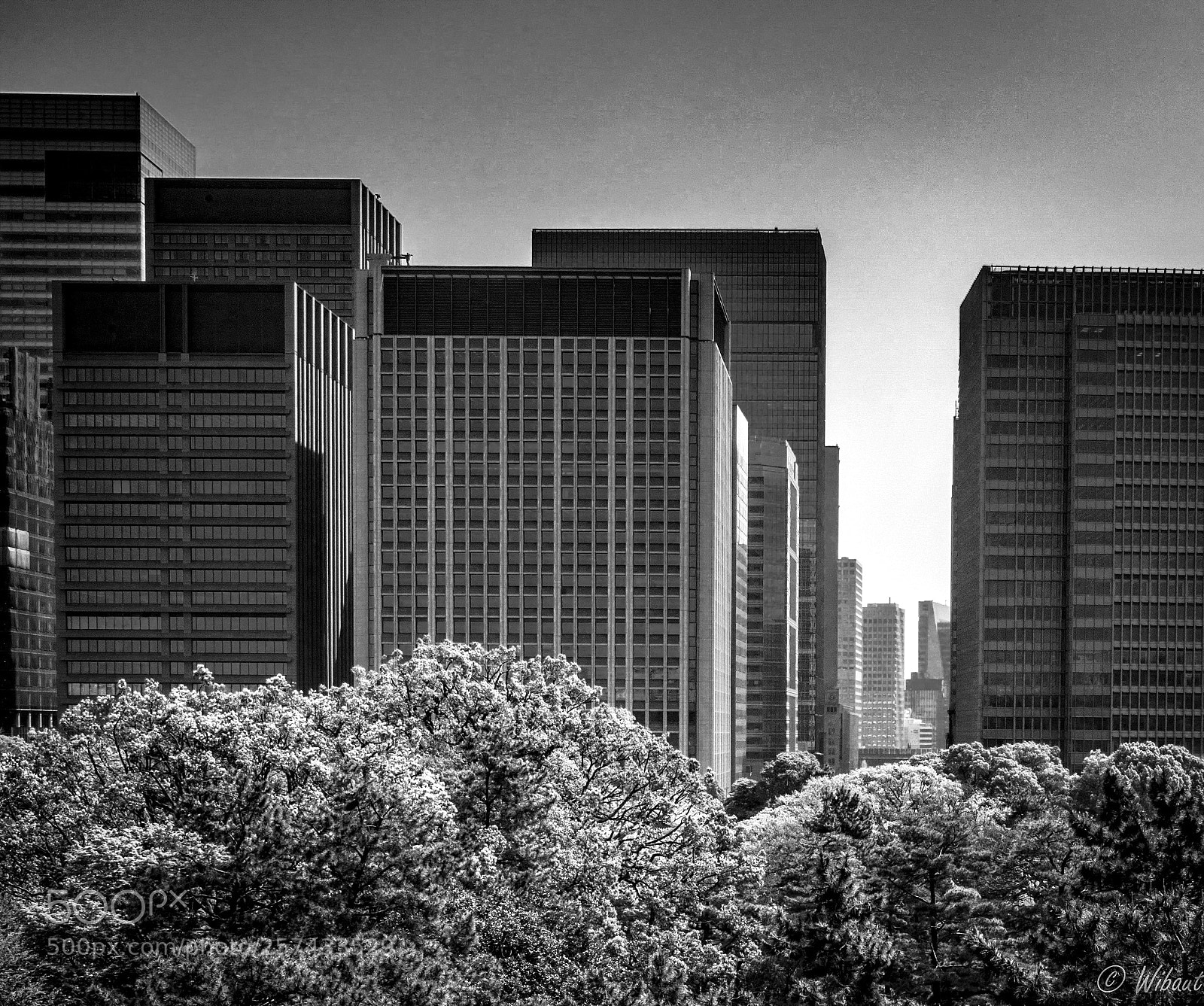 Leica M (Typ 240) sample photo. Nature & city photography